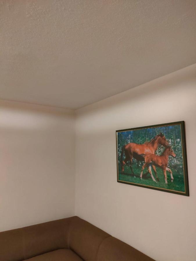 Apartament 6 Osobowy Szklarska Poreba Luaran gambar